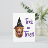 Nova Scotia Duck Tolling Retriever Trick Postkarte (Stehend Vorderseite)