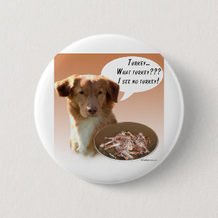 Nova Scotia Duck Tolling Retriever Türkei Button