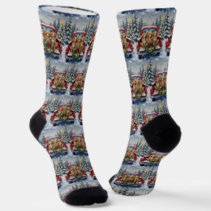 Nova Scotia Duck Tolling Retriever Weihnachten Rot Socken