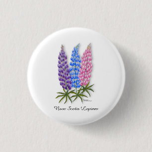 Nova Scotia Lupinen Button