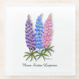 Nova Scotia Lupinen Glasuntersetzer
