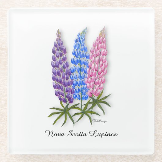 Nova Scotia Lupinen Glasuntersetzer (Vorderseite)