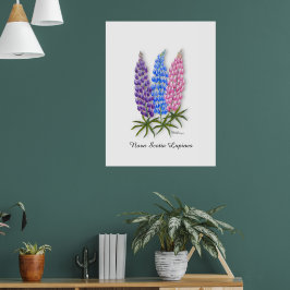 Nova Scotia Lupinen Poster