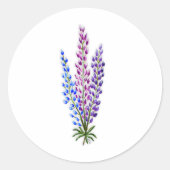 Nova Scotia Lupinen Runder Aufkleber (Vorderseite)