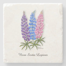 Nova Scotia Lupinen