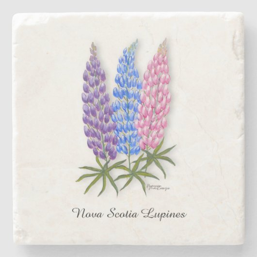 Nova Scotia Lupinen Steinuntersetzer (Vorderseite)