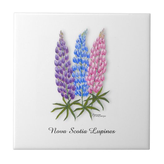 Nova Scotia Lupines Fliese (Vorderseite)