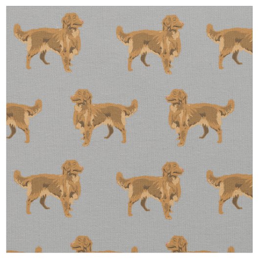 Nova Scotia Retriever Hund grau Stoff (Nahaufnahme)