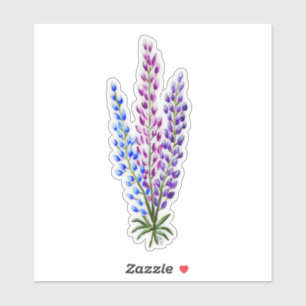 Nova Sotia Lupinen Aufkleber