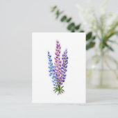 Nova Sotia Lupinen Postkarte (Stehend Vorderseite)