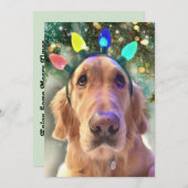 Nova the Golden Retriever Dog Einladung zu Weihnac (Vorne/Hinten)