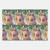 Nova the Golden Retriever - Packpapierblätter Geschenkpapier Set (Vorderseite)
