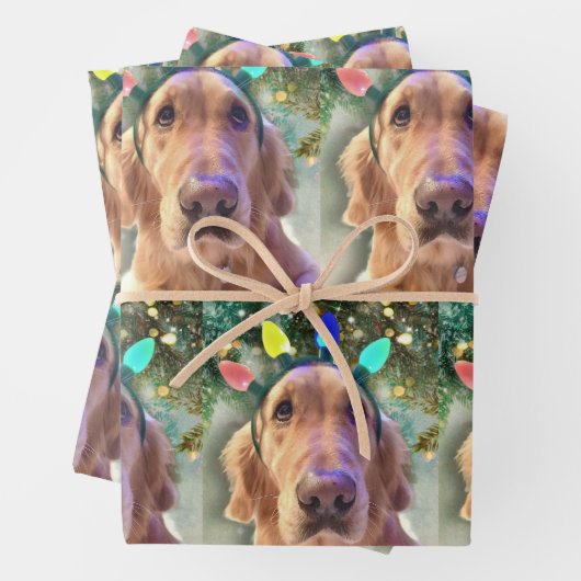 Nova the Golden Retriever - Packpapierblätter Geschenkpapier Set (Beispiel)
