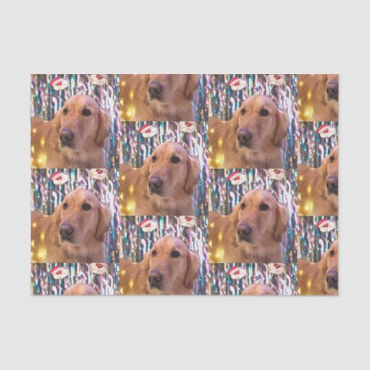 Nova the Golden Retriever Weihnachten Seidenpapier (Vorderseite)