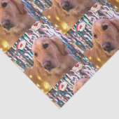 Nova the Golden Retriever Weihnachten Seidenpapier (Ausschnitt)