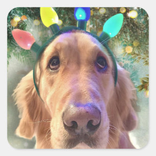 Nova the Golden Retriever - Weihnachtsaufkleber Quadratischer Aufkleber