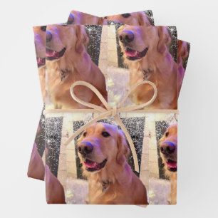 Nova the Golden Retriever - Wrapping Paper Sheets Geschenkpapier Set