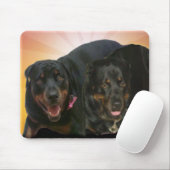 Nova u. Neo Mousepad (Mit Mouse)