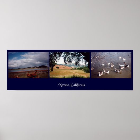 Novato, Kalifornien Poster (Vorne)