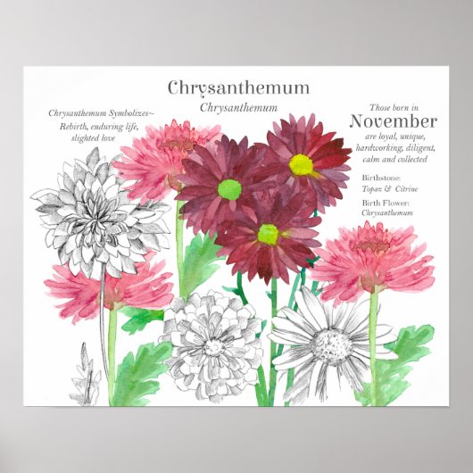 November Birth Flower Language of Flowers Poster (Vorne)