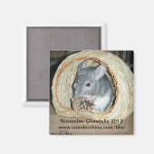 November Chinchilla 2012 Magnet (Vorderseite/Rückseite)