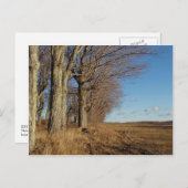 November Feld I Postkarte (Vorne/Hinten)