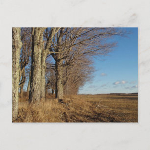 November Feld I Postkarte