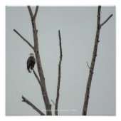 November Fotodruck (Vorne)