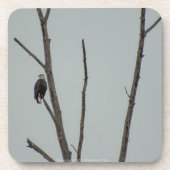 November Getränkeuntersetzer (Vorderseite)