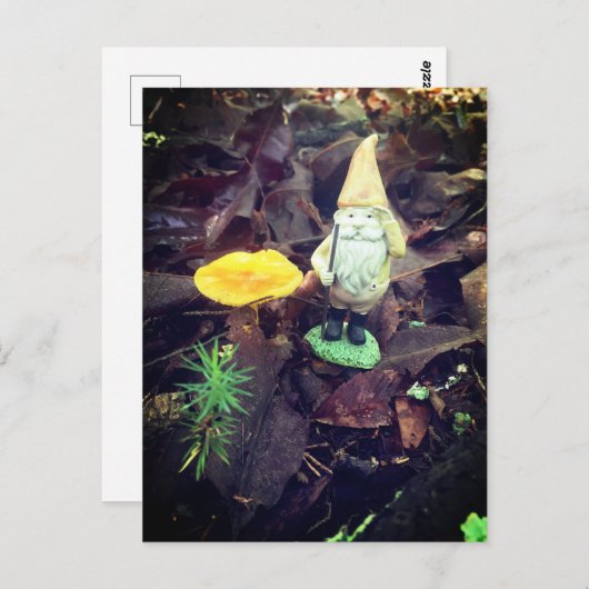 November Gnome Postkarte (Vorne/Hinten)