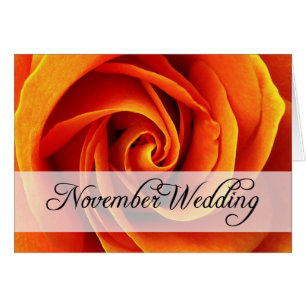 November Hochzeit : Rose der Saison: