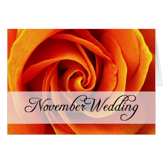 November Hochzeit : Rose der Saison: (Vorderseite (Horizontal))