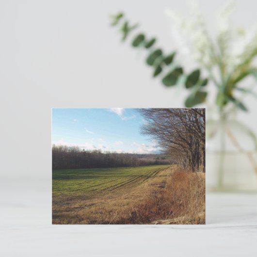 November II. Postkarte (Stehend Vorderseite)