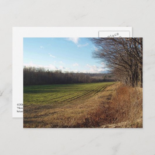 November II. Postkarte (Vorne/Hinten)