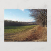 November II. Postkarte (Vorderseite)