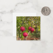 November ist Granatapfel Monat! Mitteilungskarte (Vorderseite/Rückseite Beispiel)