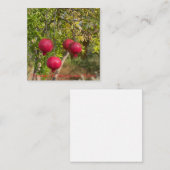 November ist Granatapfel Monat! Mitteilungskarte (Vorne/Hinten)