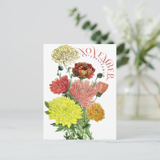 November Monat Blume Chrysanthemum Extravagant Pos Postkarte (Stehend Vorderseite)