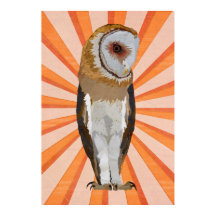 NOVEMBER OWL