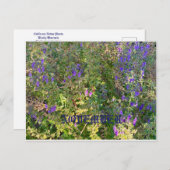 NOVEMBER POSTKARTE (Vorne/Hinten)