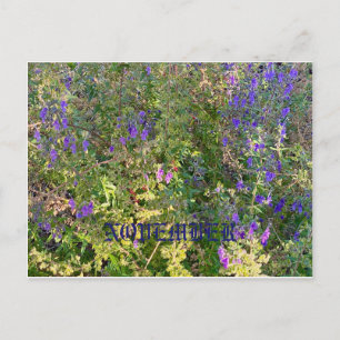 NOVEMBER POSTKARTE