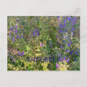 NOVEMBER POSTKARTE (Vorderseite)