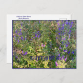 NOVEMBER POSTKARTE (Vorne/Hinten)