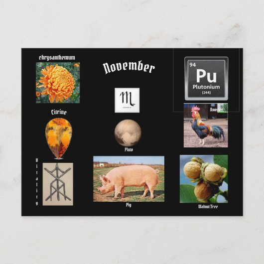 November Skorpio Geburtsmonat Postkarte (Vorderseite)