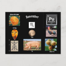 November Skorpion Geburtstags-Postkarte