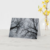 November Sky Through Trees Fotografy Karte (Gelbe Blume)