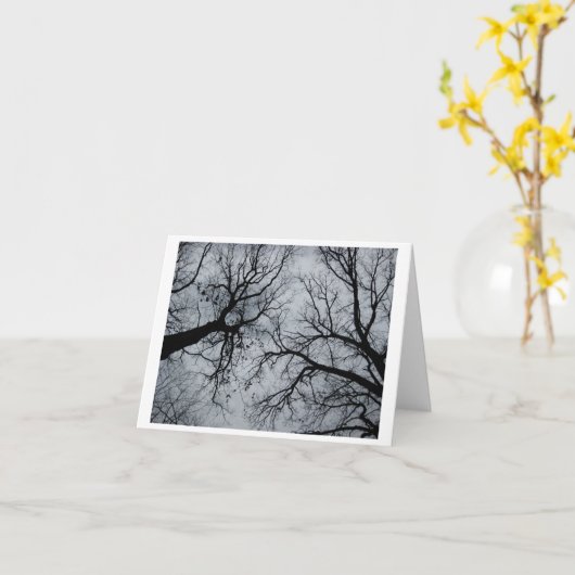 November Sky Through Trees Karte (Gelbe Blume)