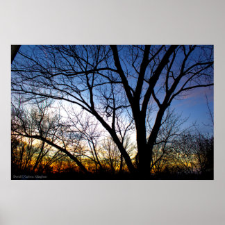 November Sonnenuntergang aus meinem Fenster Poster