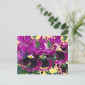 November Stiefmütterchen Postkarte (Stehend Vorderseite)