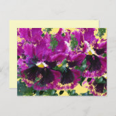 November Stiefmütterchen Postkarte (Vorne/Hinten)